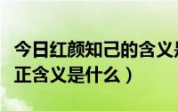 今日红颜知己的含义是指什么（红颜知己的真正含义是什么）