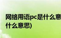 网络用语pc是什么意思的缩写(网络用语pc是什么意思)