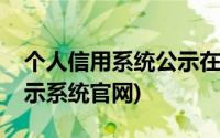 个人信用系统公示在线查询(个人信用信息公示系统官网)