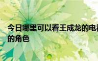 今日哪里可以看王成龙的电视剧为什么我搜索不到迎儿主演的角色