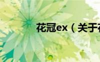 花冠ex（关于花冠ex的介绍）