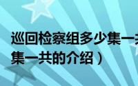 巡回检察组多少集一共（关于巡回检察组多少集一共的介绍）