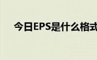 今日EPS是什么格式（EPS是什么格式）