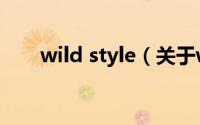 wild style（关于wild style的介绍）