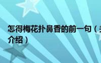 怎得梅花扑鼻香的前一句（关于怎得梅花扑鼻香的前一句的介绍）