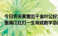 今日农夫家里出千金叶公好龙人人知一三不减九回头风波亭里满江红打一生肖或数字急谢谢