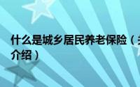 什么是城乡居民养老保险（关于什么是城乡居民养老保险的介绍）