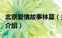 北京爱情故事林夏（关于北京爱情故事林夏的介绍）