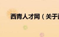 西青人才网（关于西青人才网的介绍）