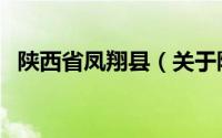 陕西省凤翔县（关于陕西省凤翔县的介绍）