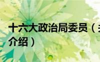 十六大政治局委员（关于十六大政治局委员的介绍）