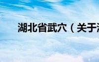 湖北省武穴（关于湖北省武穴的介绍）