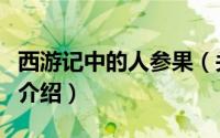 西游记中的人参果（关于西游记中的人参果的介绍）