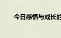 今日感悟与成长的句子（今日感悟）