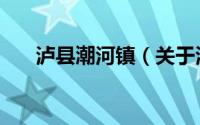 泸县潮河镇（关于泸县潮河镇的介绍）