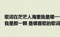 歌词在茫茫人海里我是哪一个是什么歌曲（在茫茫的人海里我是那一颗 是哪首歌的歌词）