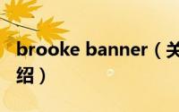 brooke banner（关于brooke banner的介绍）