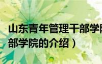 山东青年管理干部学院（关于山东青年管理干部学院的介绍）