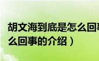 胡文海到底是怎么回事（关于胡文海到底是怎么回事的介绍）