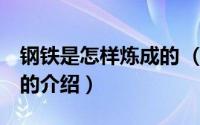 钢铁是怎样炼成的 （关于钢铁是怎样炼成的 的介绍）