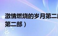 激情燃烧的岁月第二部续集（激情燃烧的岁月第二部）