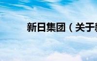 新日集团（关于新日集团的介绍）